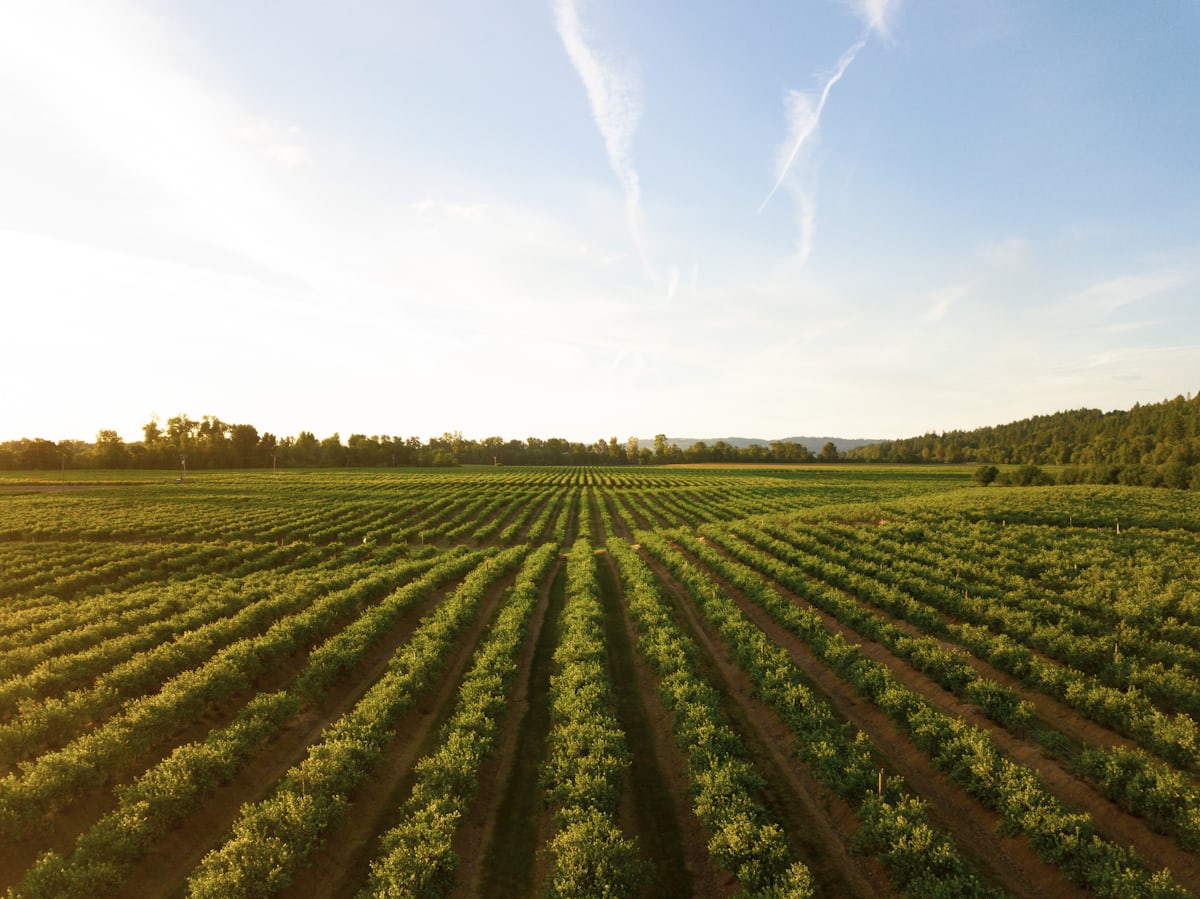 Agricultural